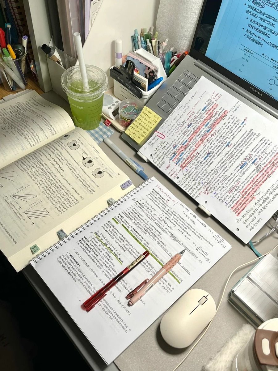 핑핑이 tweet media