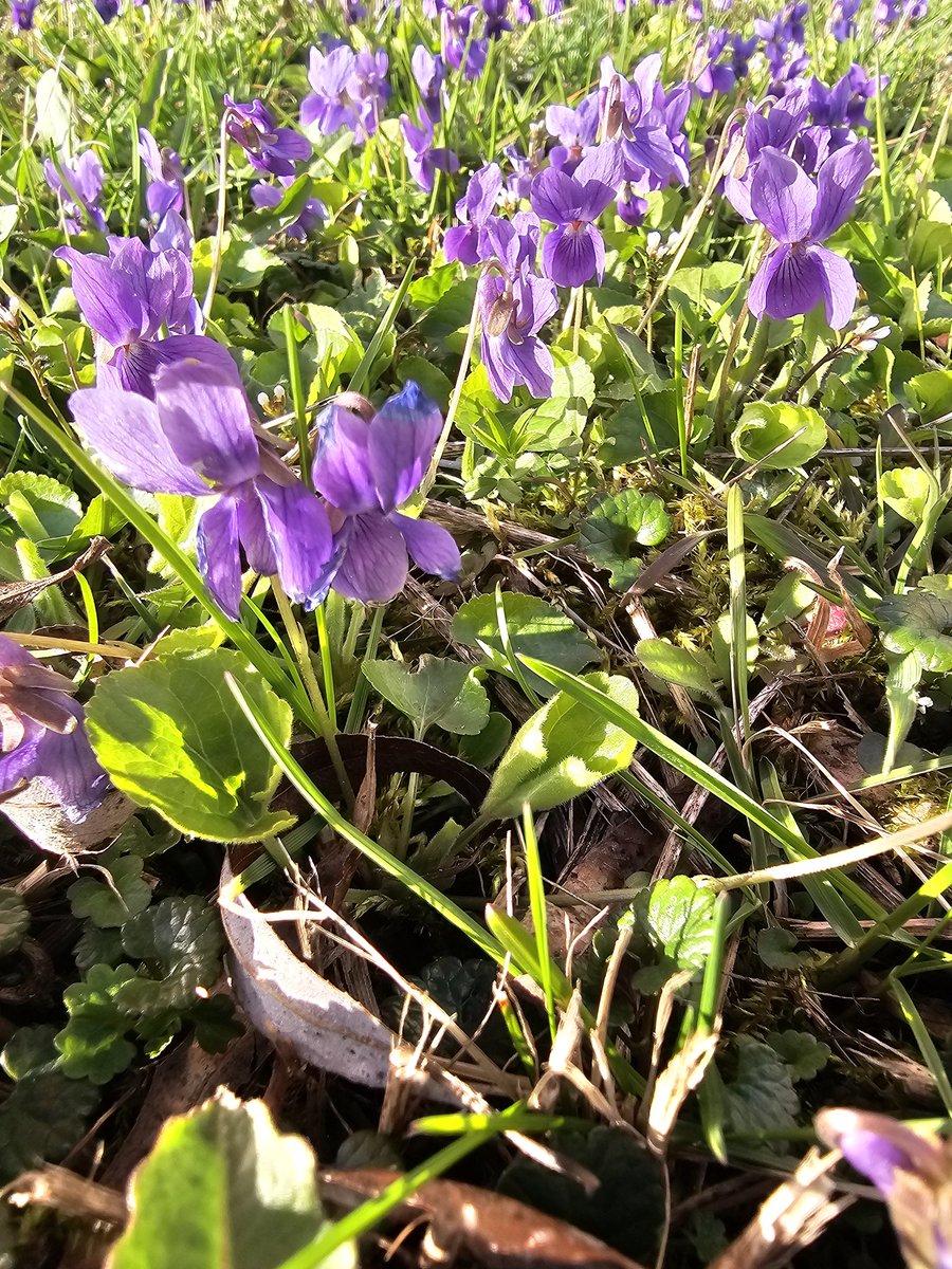 Edzix #DrużynaTuska #FBPE tweet media