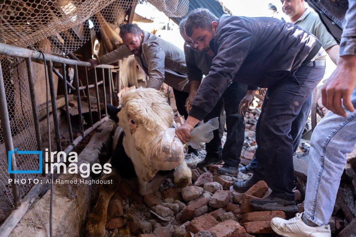 Sprinter Press tweet media