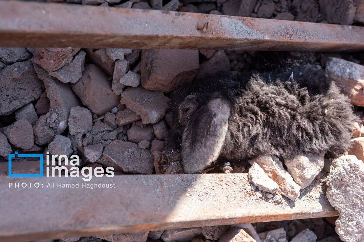 Sprinter Press tweet media