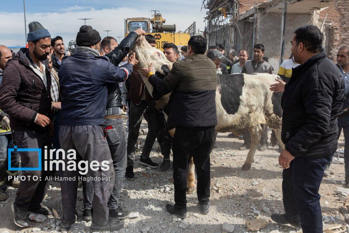 Sprinter Press tweet media