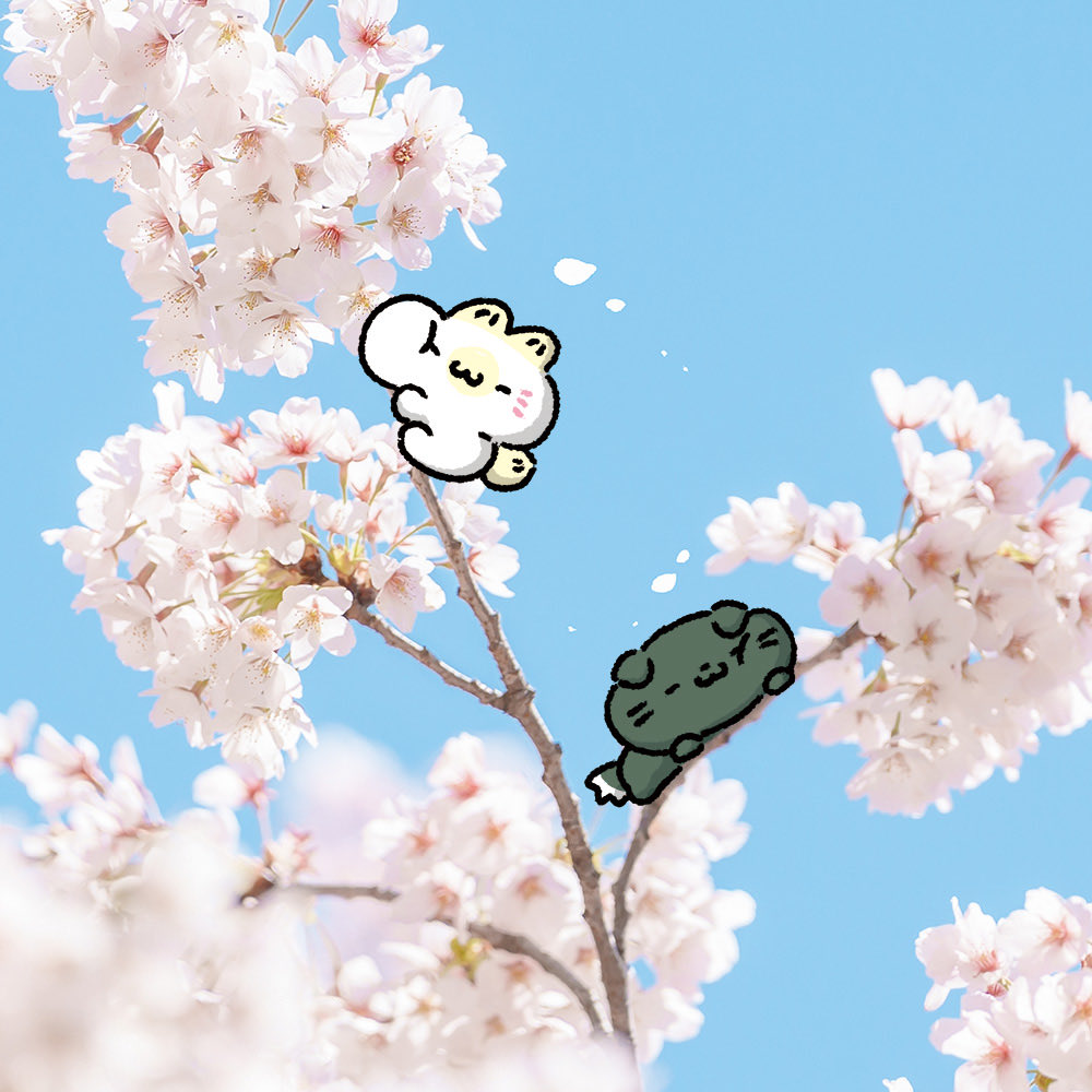 마니미니모 tweet media