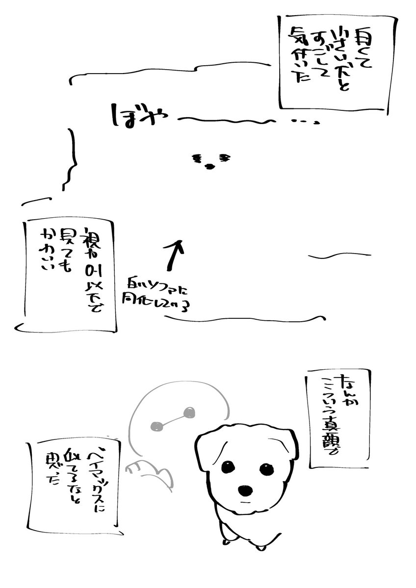 ぷち にくりん@カントボーイBL発売中🌸 tweet media