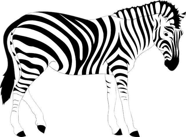 Tammy Romero tweet media