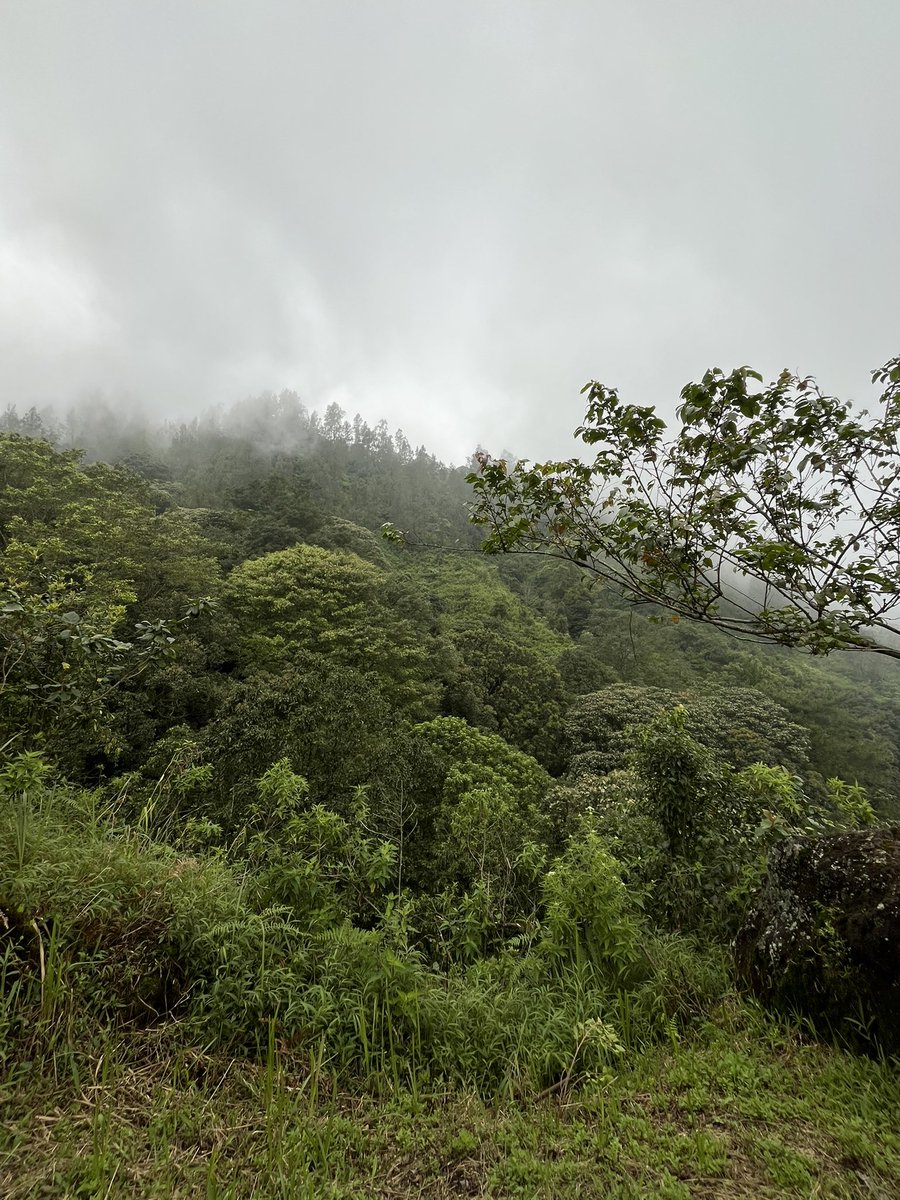 Eve, open mt before dm. 🎀 tweet media