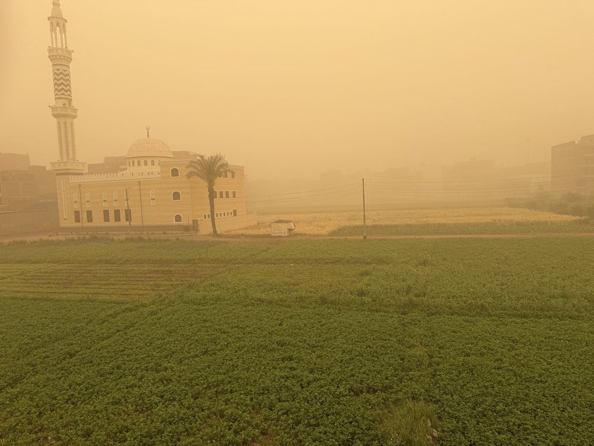 محمد عامر ( البارون) tweet media