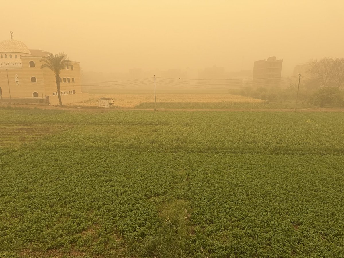 محمد عامر ( البارون) tweet media