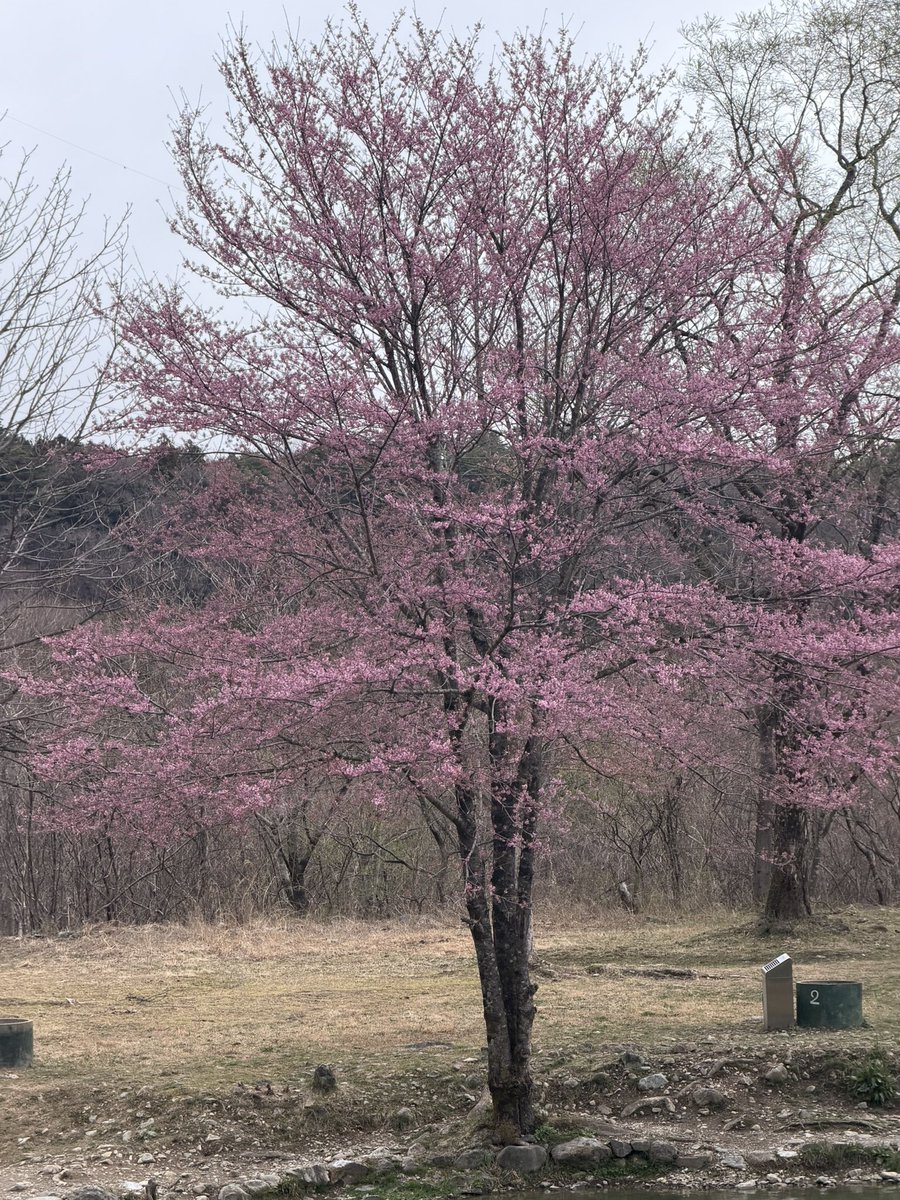 蛇尾川フィッシングパーク tweet media