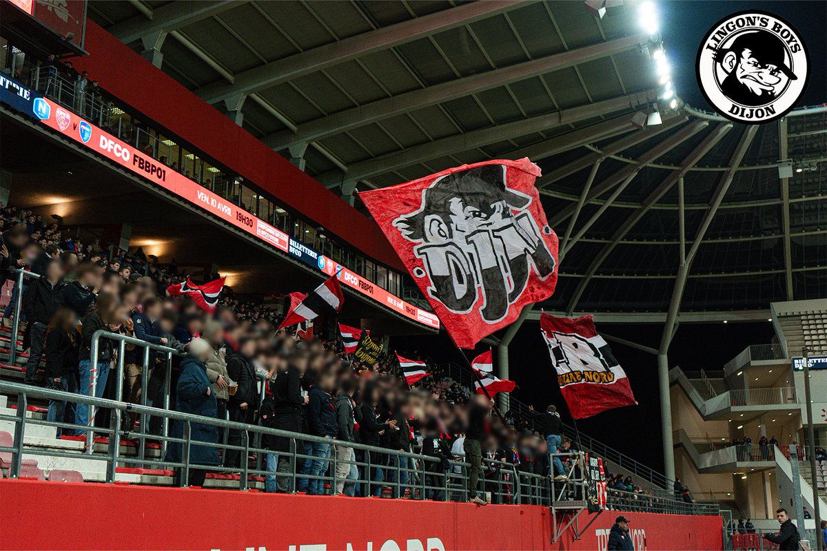 Lingon's Boys tweet media