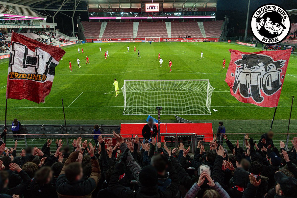 Lingon's Boys tweet media