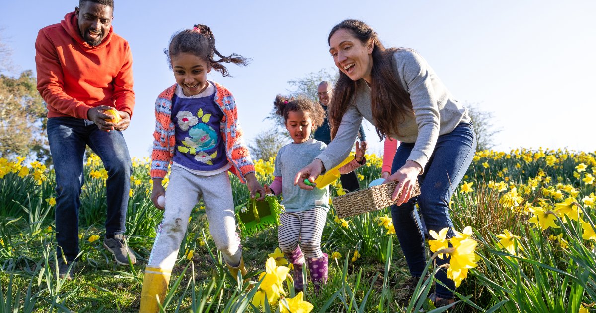 A2Dominion Help tweet media