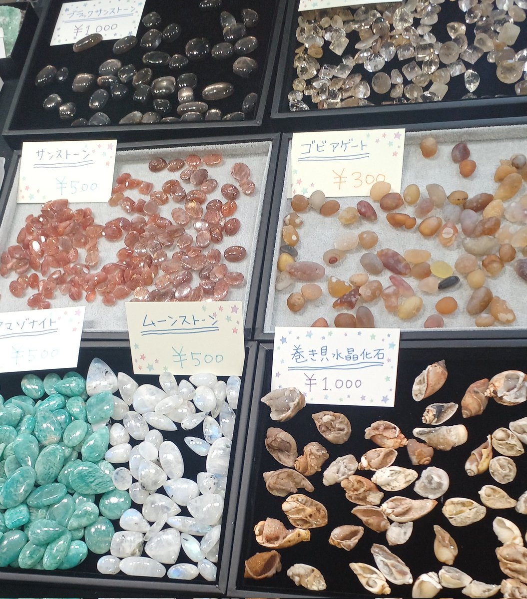 カラス（アルプトラオムの目玉売り） tweet media