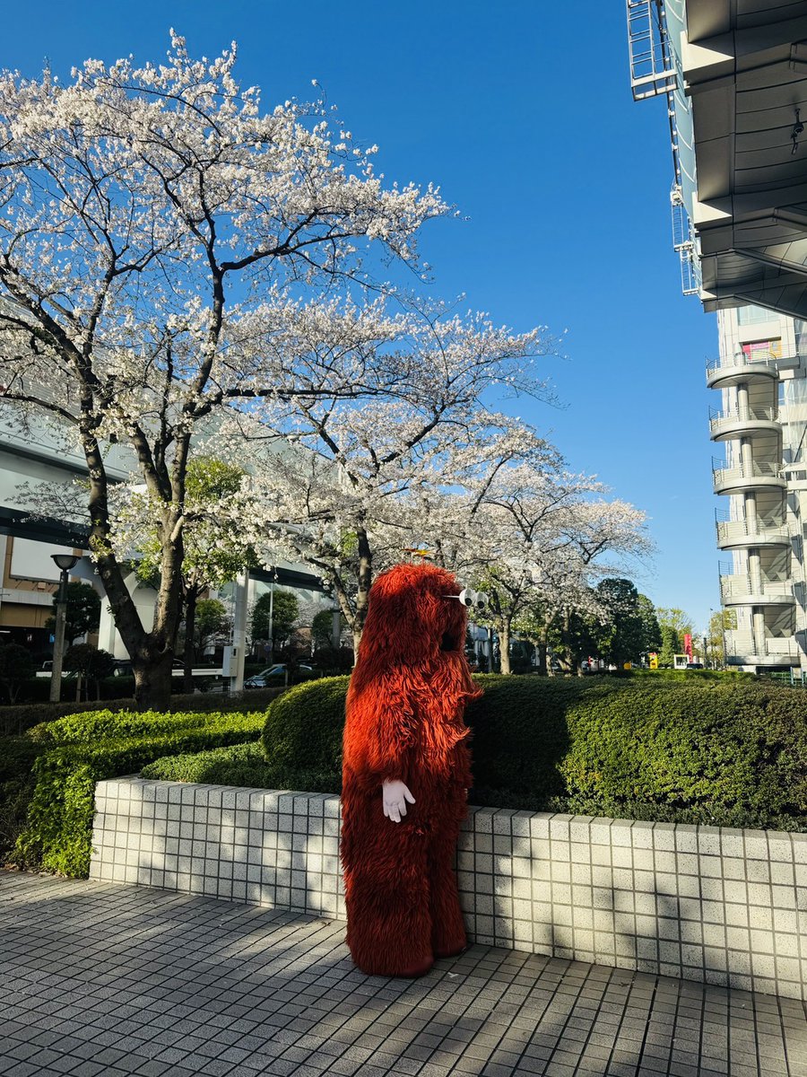 むっくです ムック【Mukku】🪺 (@mukkuofficial) / Posts / X