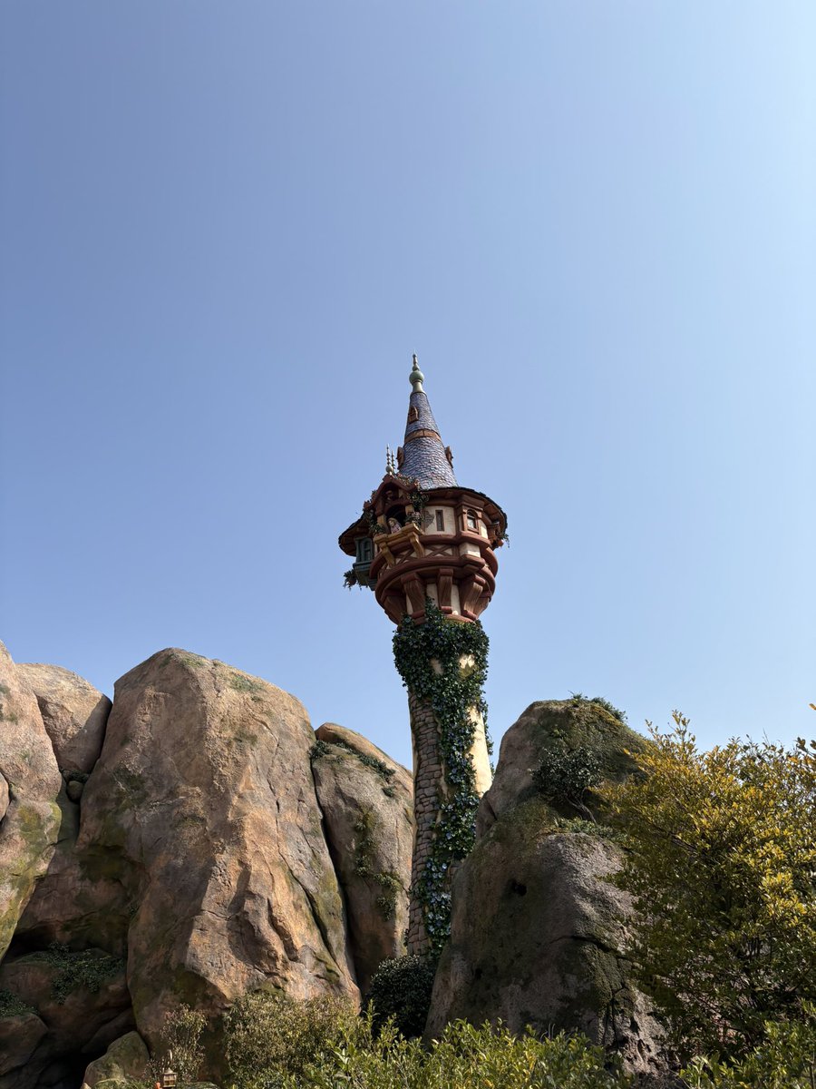 𝘢𝘷𝘰𝘤𝘢𝘥𝘰 . tweet media