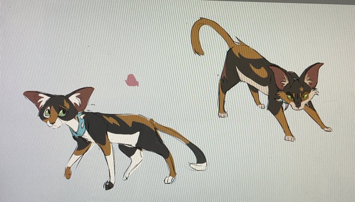 Bell_Whisker tweet media