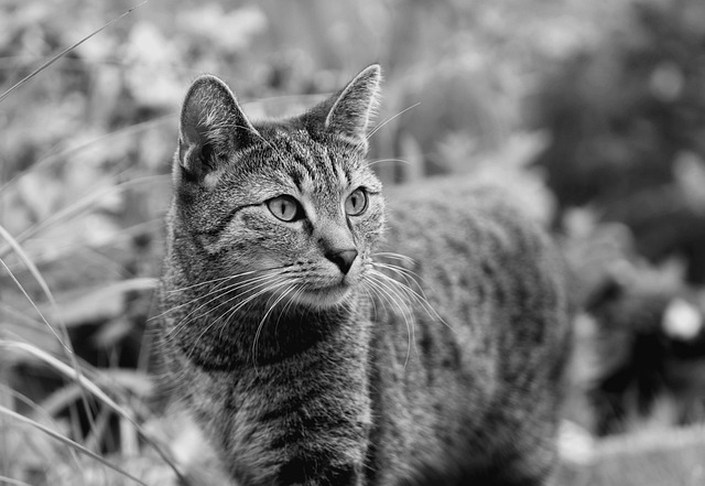 Jim Bates tweet media