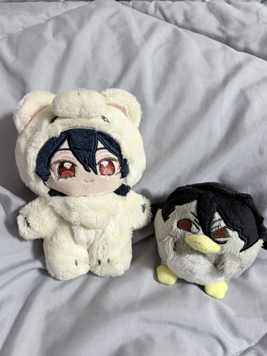 사쿠사쿠 tweet media