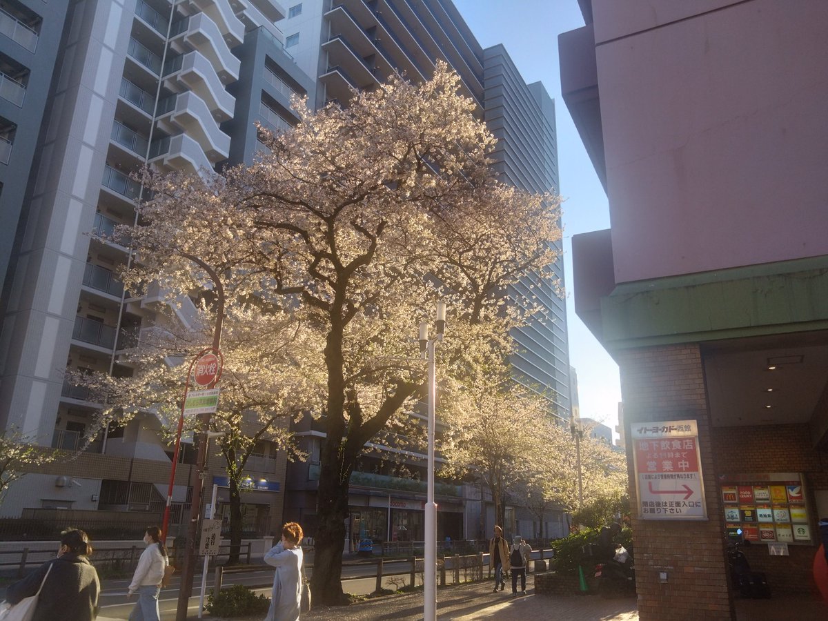 林田慎吾 tweet media