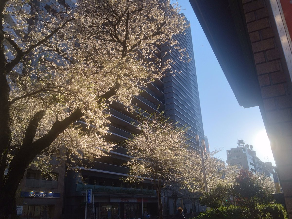 林田慎吾 tweet media