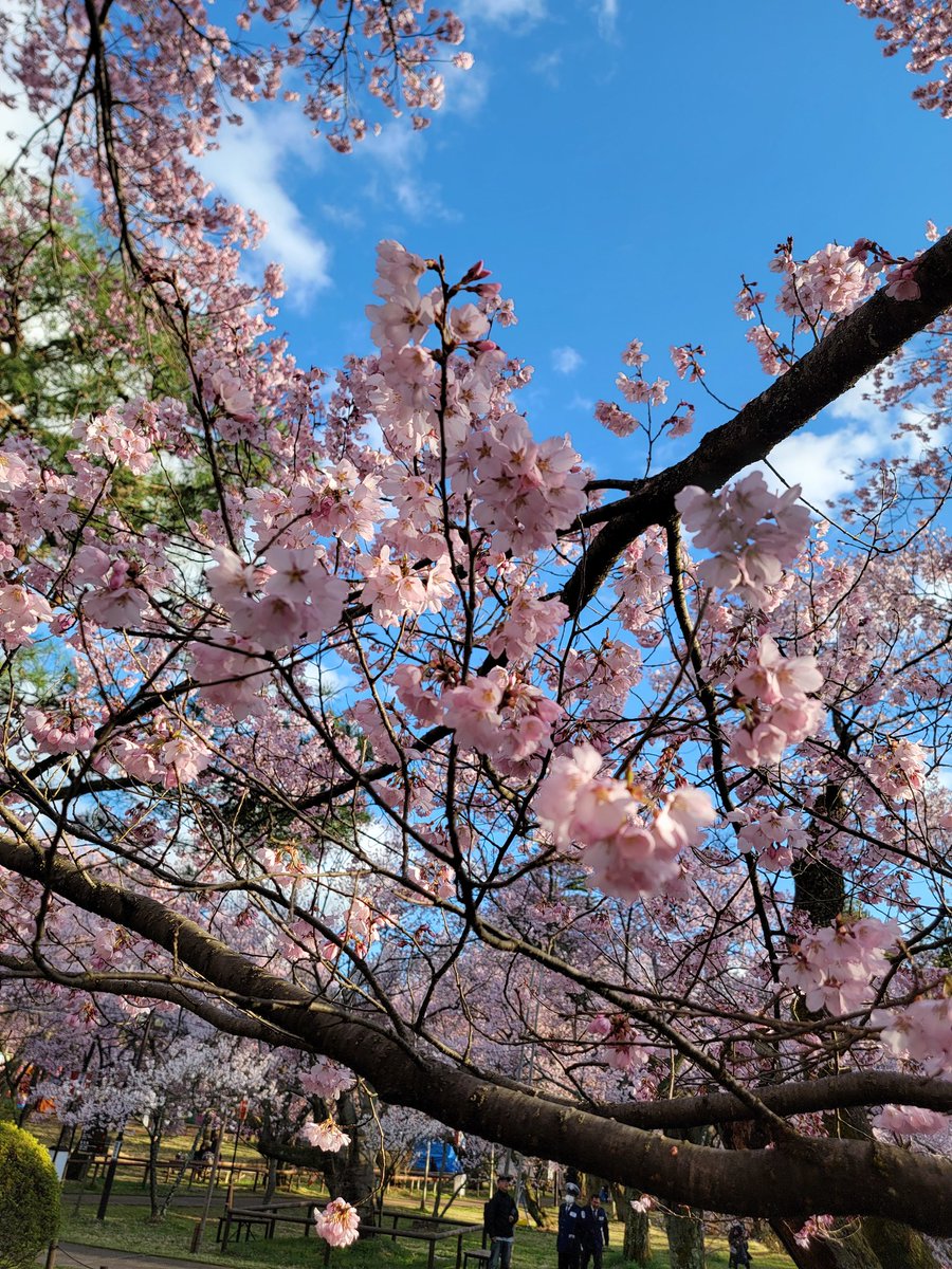 やまだともひろおむすび1979 tweet media