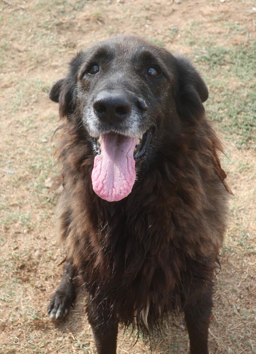 SOS Abuelos tweet media