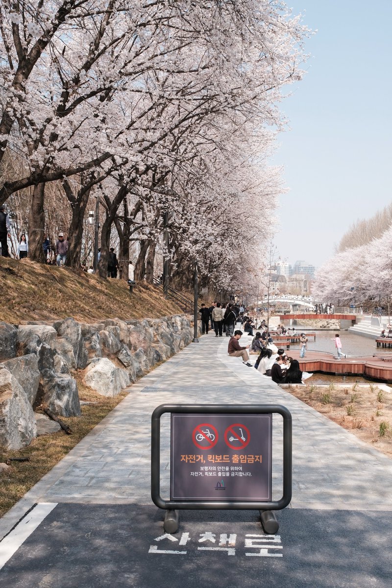 셰리프 tweet media