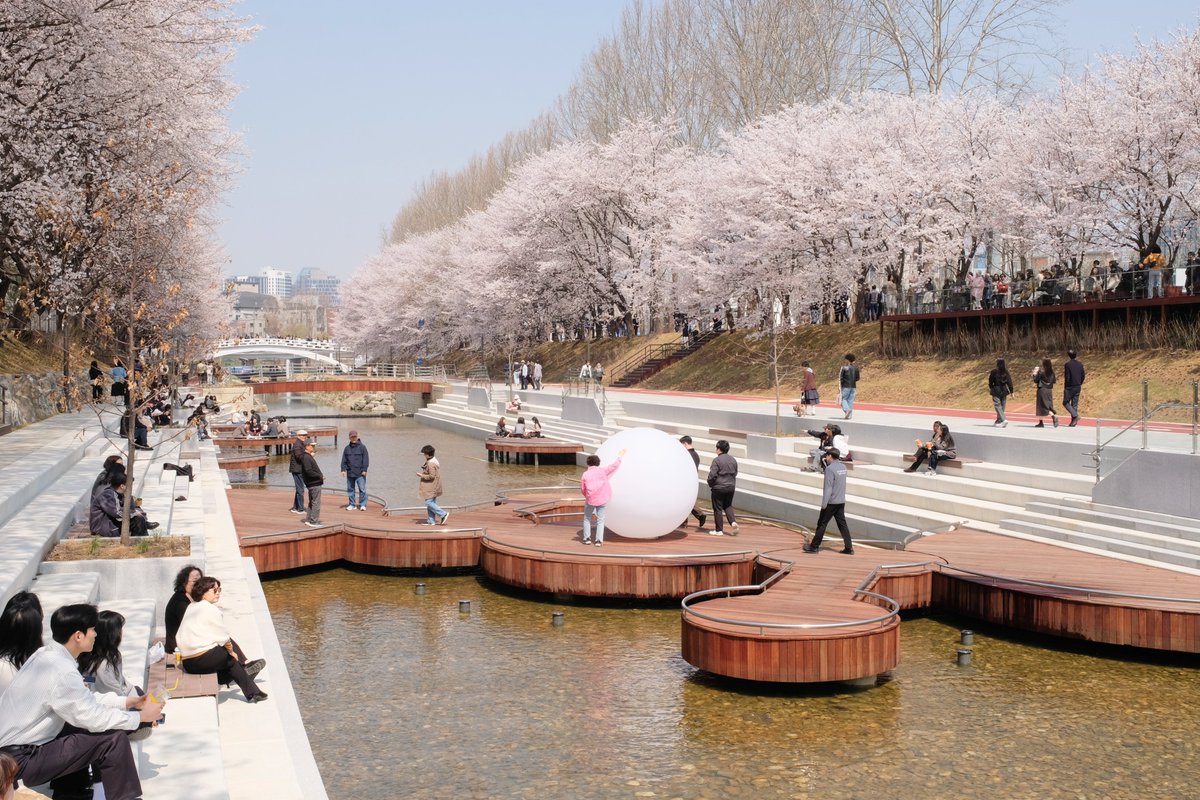 셰리프 tweet media