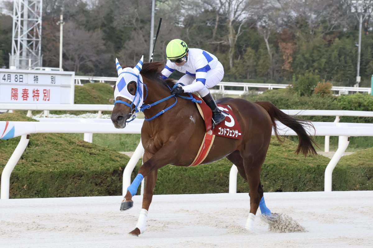 地方競馬全国協会(NAR)公式 tweet media