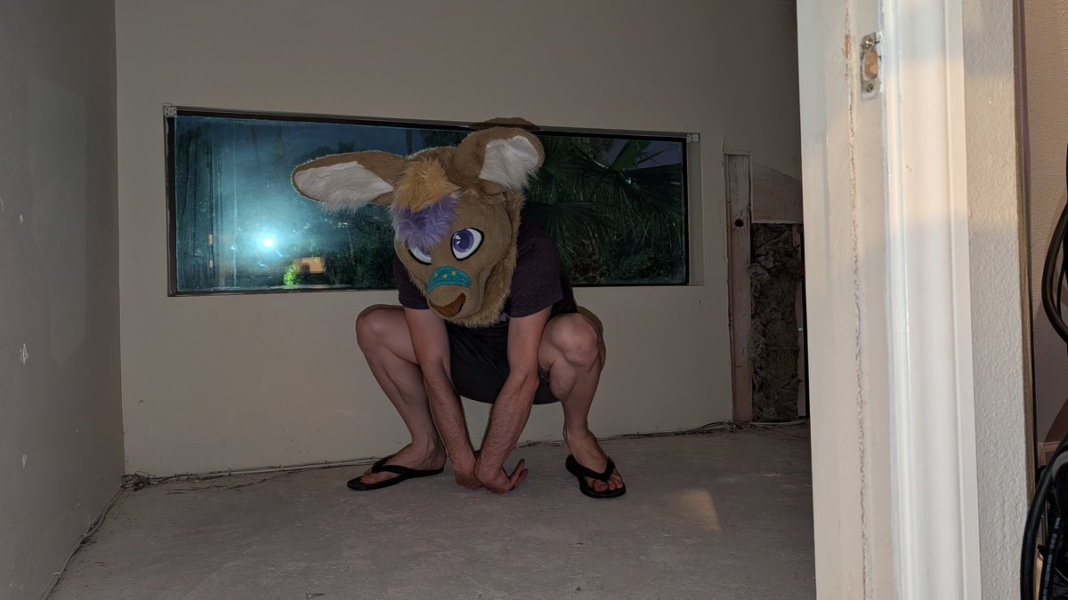 🩹☀️🌵Bandaid Roo!🌵☀️🩹➡️TFF, LVFC tweet media