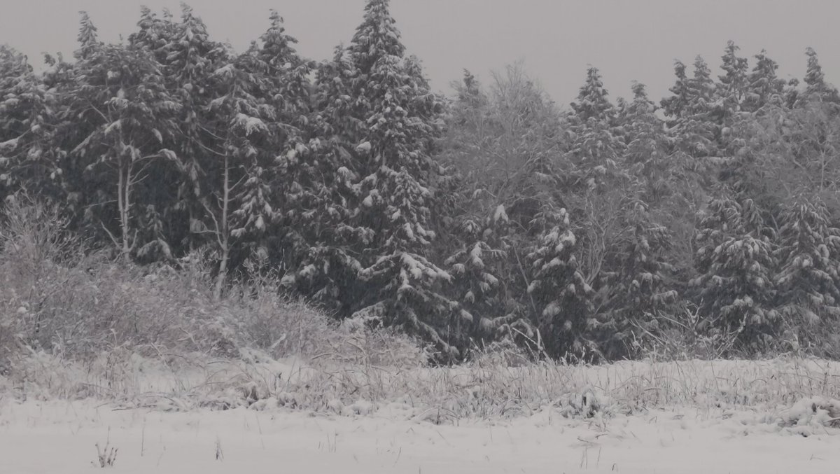 さぶこも💤 tweet media