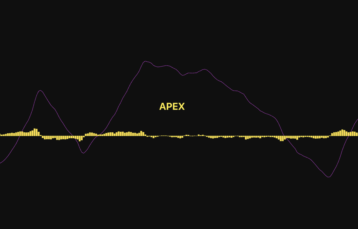 Mr.Rakun tweet media