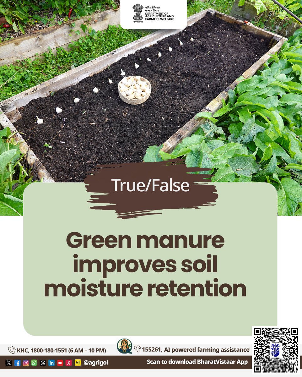 AgriGoI's tweet image. True or False? 
Green manure improves soil moisture retention.
Drop your answer below  and learn how natural practices can boost soil health and conserve water for better farming.
Go natural, Support farmers. 
👉 Order now: mystore.in/en/product/nsc…

#SustainableFarming #SoilHealth