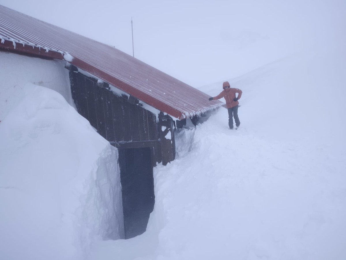 Francesc Mauri tweet media