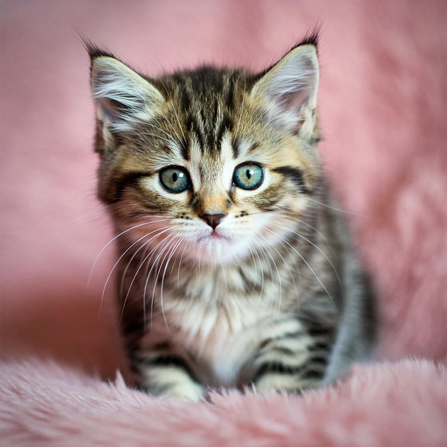 Dan Quade tweet media