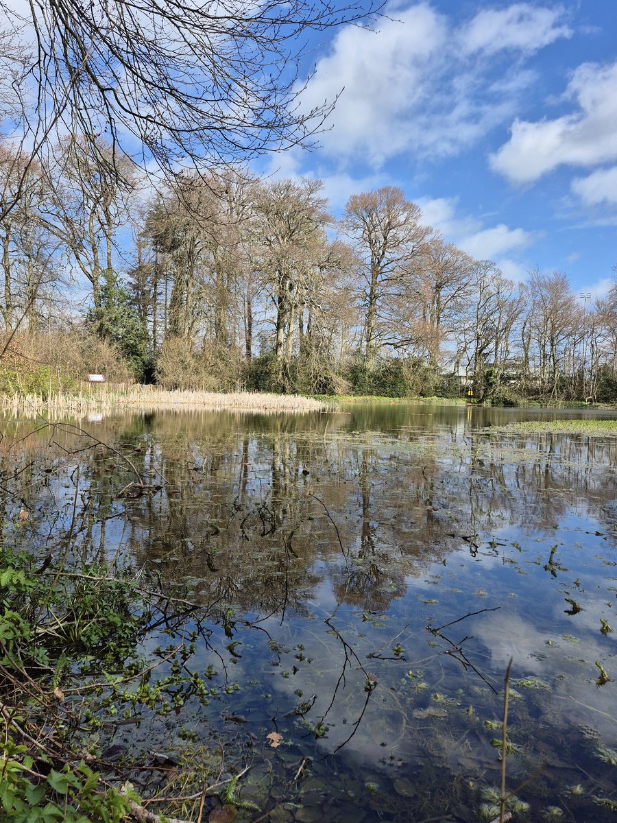 eva_joy1's tweet image. Not happy because everything is good, but grateful because everything is meaningful.
Happy Thursday, friends! 💛