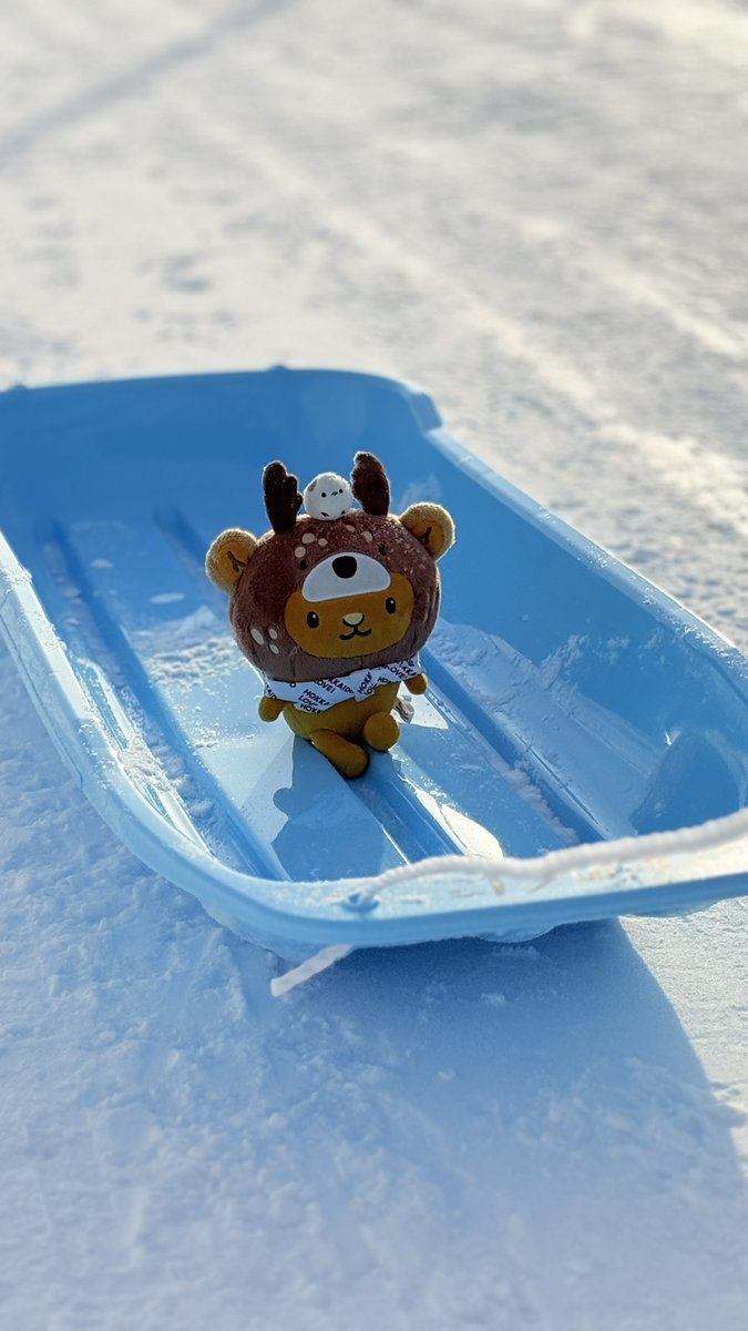 キュンちゃん【公式】 tweet media