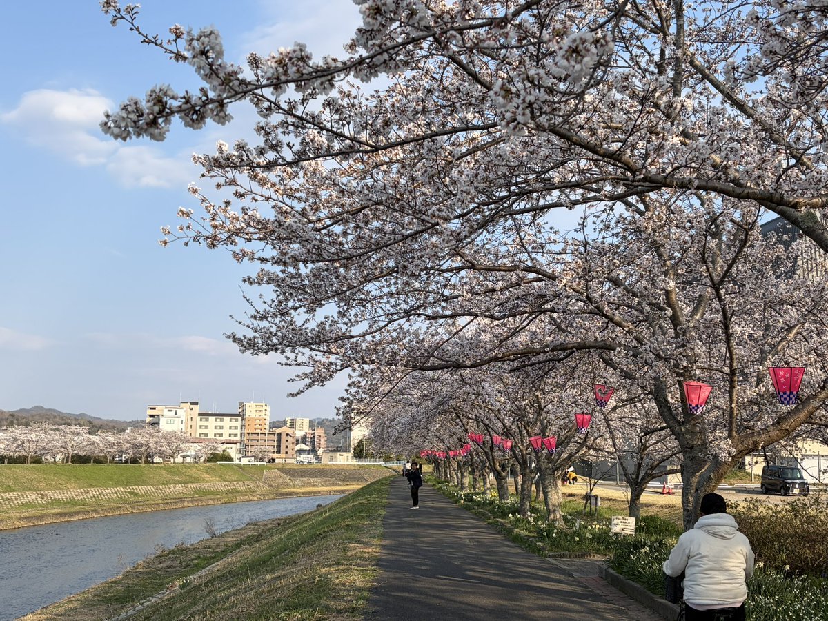 大和タケノブ＠ウマ娘シングレ展 大阪❗️ 2026 tweet media