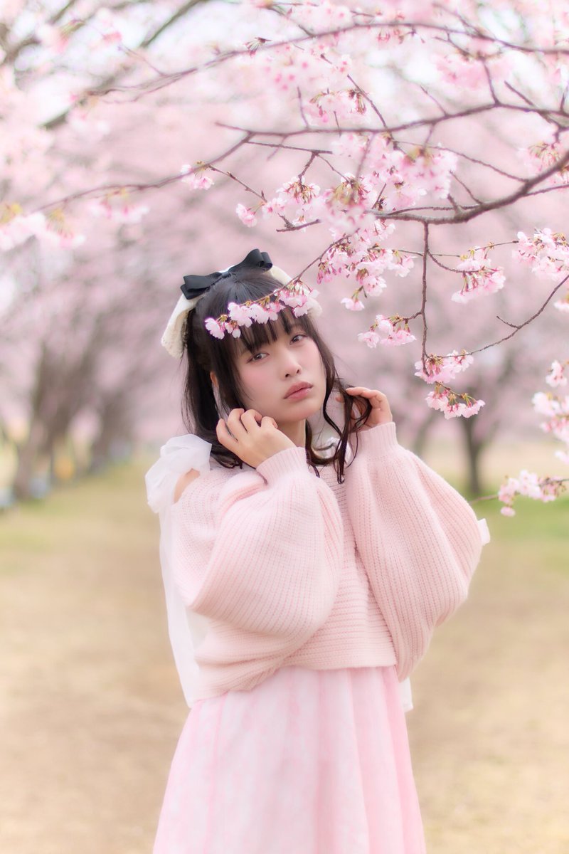 Ｃ大おじ tweet media