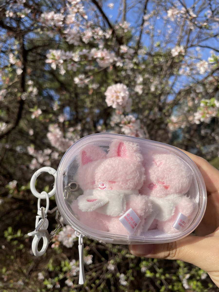 이용복중독자 tweet media