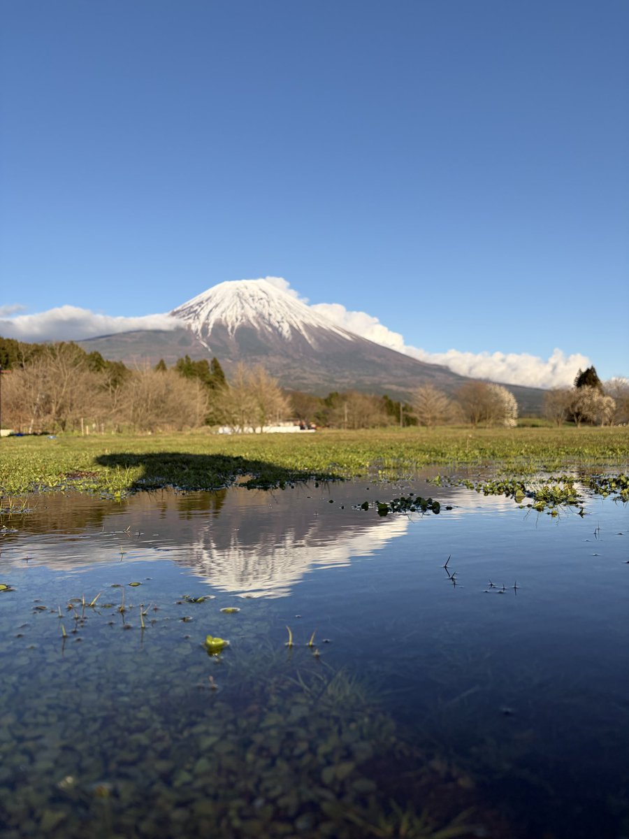 晴れて良かったー☀️
もう雨はうんざり。
けどこれからのシーズン春も夏も沢山降るんだろうなぁ。。。