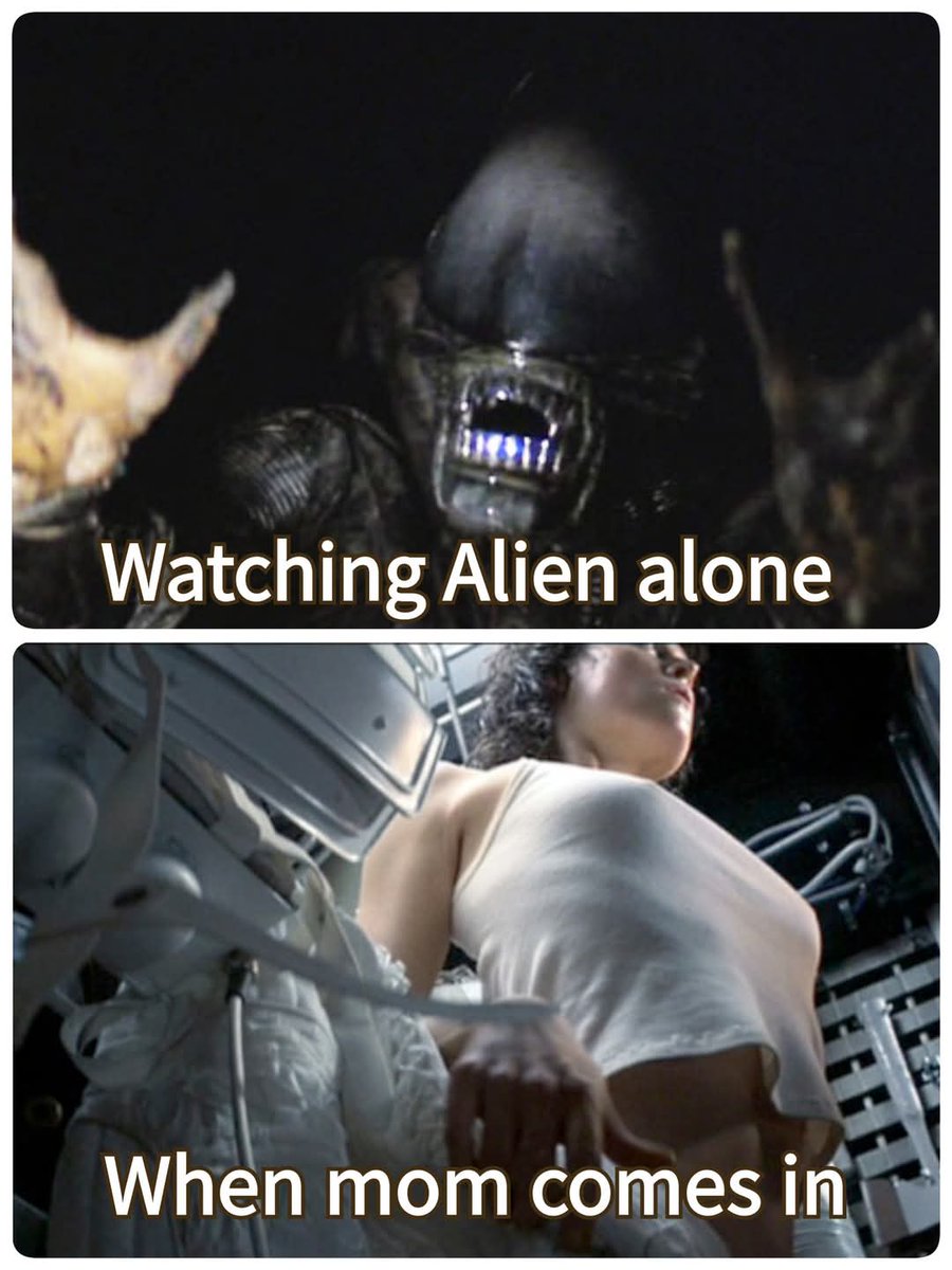 Dyerbolical Horror (☥𝐃𝐁) tweet media