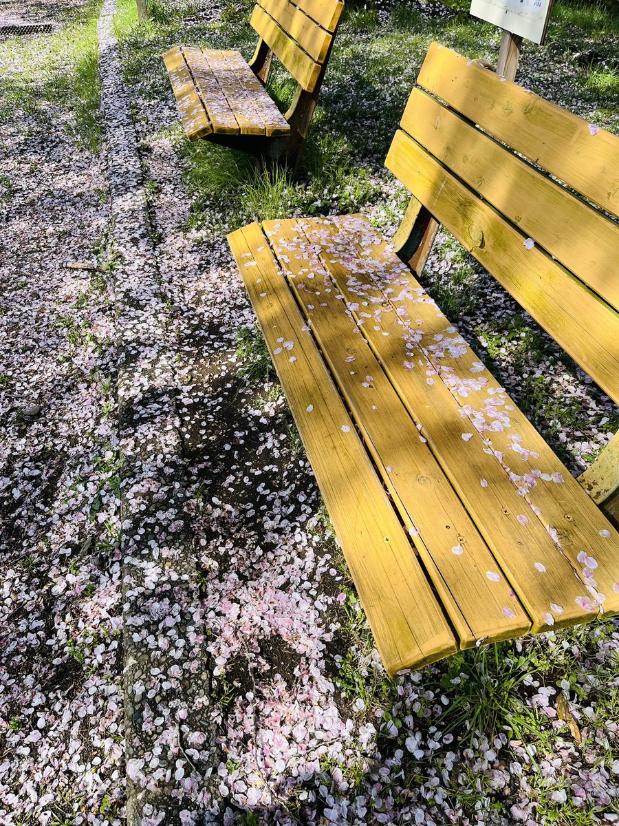 𓅯´-りん tweet media