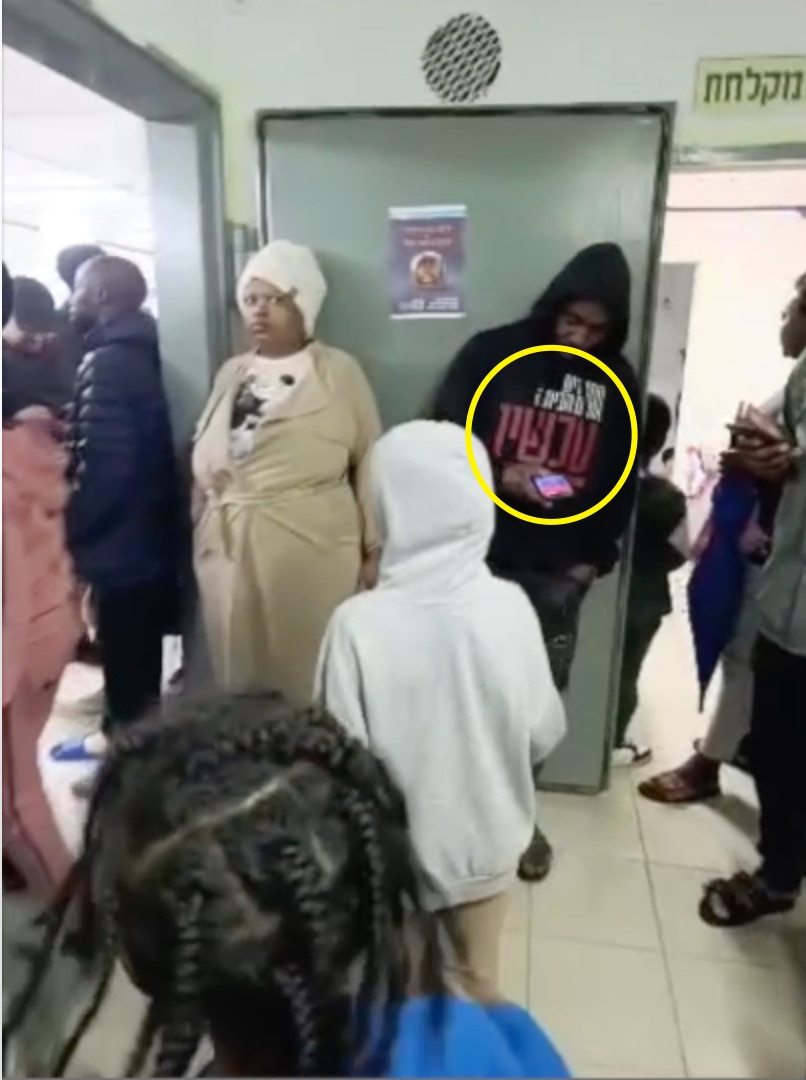 sheffi paz • שפי פז tweet media