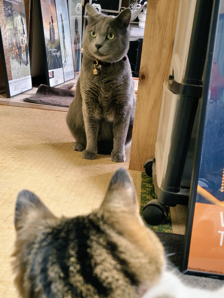 めかりんまる tweet media