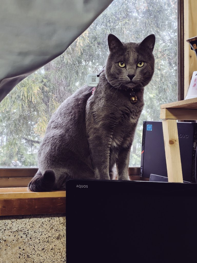 めかりんまる tweet media