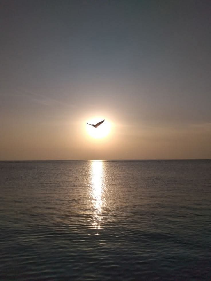 زهره محمد tweet media