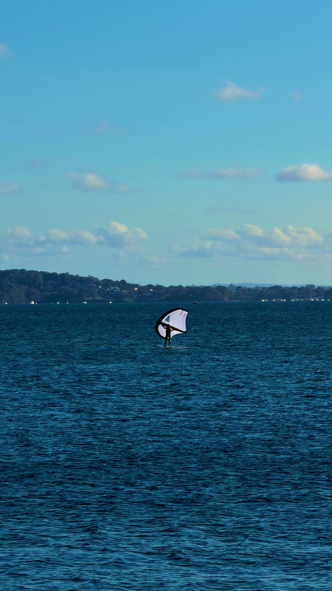 Belinda🇦🇺 tweet media