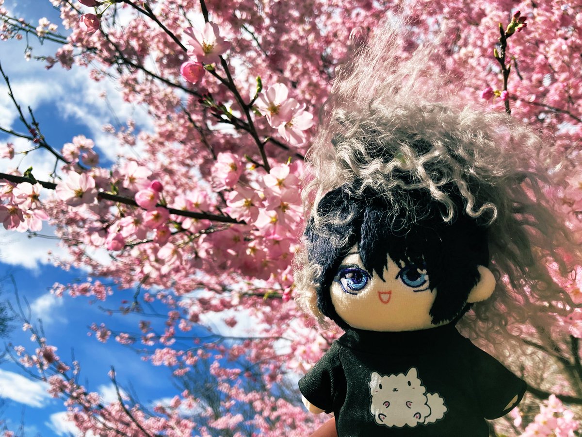 Mae_D1113's tweet photo. るいぬいちゃんとお散歩行ってきた🌸
春だね♪ 
#VisuNui
#Ruiza https://t.co/AzRpxXgQFq