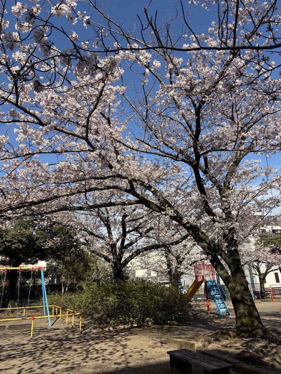 Bar re:frain 西千葉 tweet media