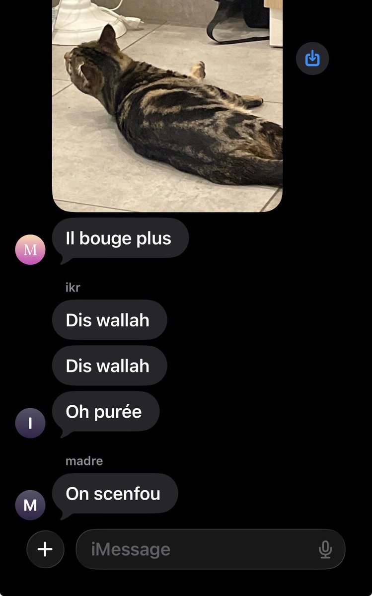 La fitna madre/chat j’en parlerai un jour